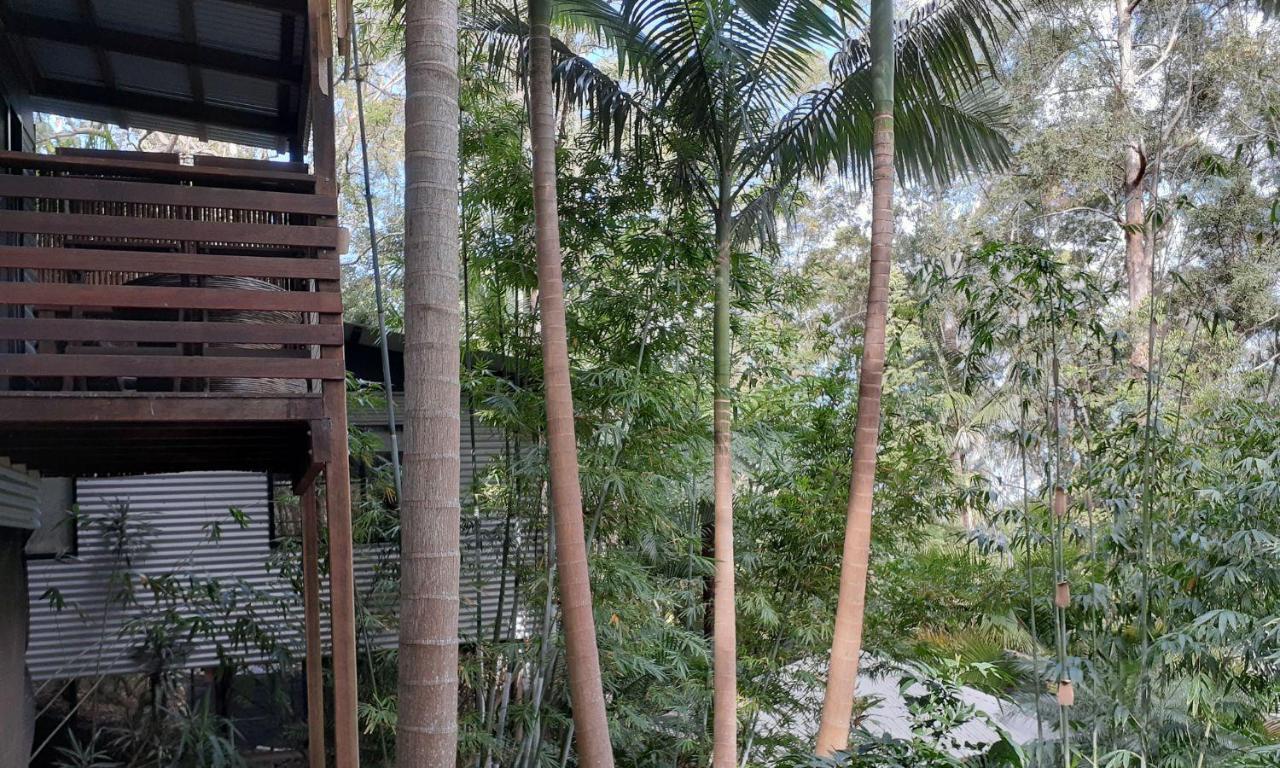 Bed and Breakfast Alaya Escape Eudlo Exterior foto