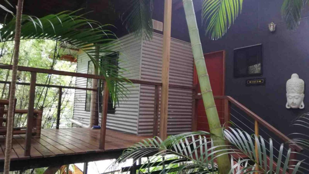 Bed and Breakfast Alaya Escape Eudlo Exterior foto