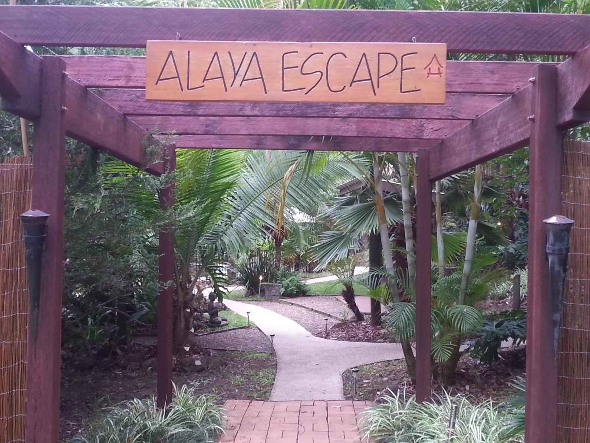 Bed and Breakfast Alaya Escape Eudlo Exterior foto
