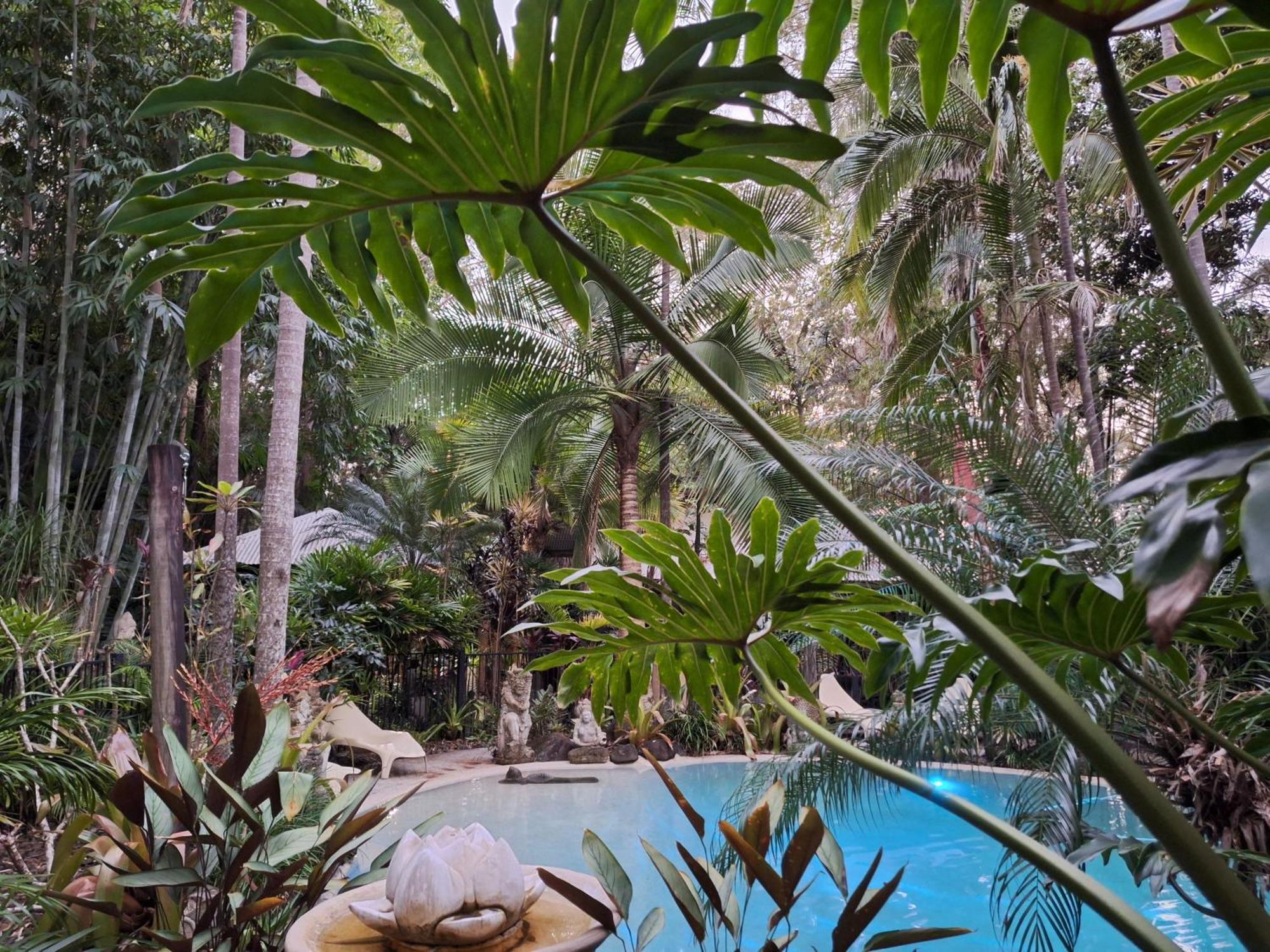 Bed and Breakfast Alaya Escape Eudlo Exterior foto