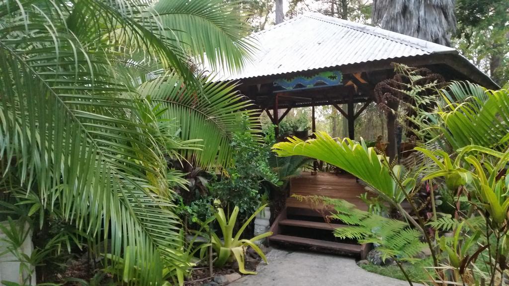 Bed and Breakfast Alaya Escape Eudlo Exterior foto