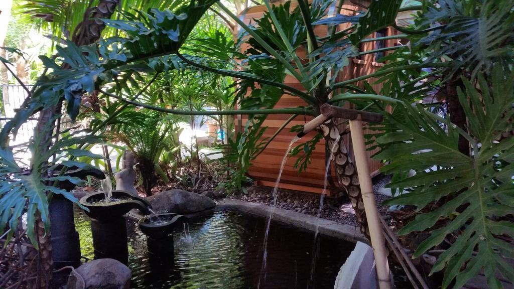 Bed and Breakfast Alaya Escape Eudlo Exterior foto
