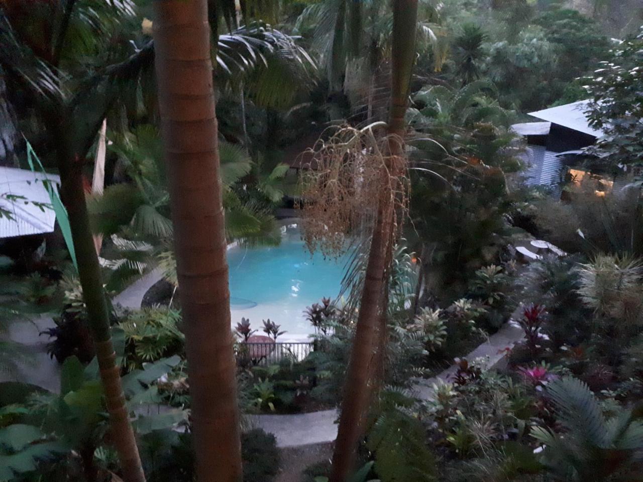 Bed and Breakfast Alaya Escape Eudlo Exterior foto